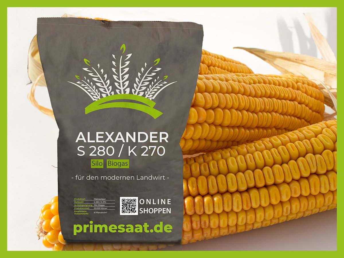 ALEXANDER S 280 / K 270