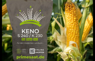 Keno_Shop_2019_1-Titelbild