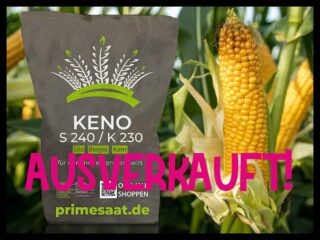Unser Keno Mais ist für diese Saison leider nicht mehr erhältlich, aber wieder im nächsten Jahr 🌽🌽🌽 Wir haben aber noch Leo, Timo, Lasse, Joseph, Alexander und @prosaat.de mais - schaut zwischen den Tagen bei uns im shop vorbei 🙂 oder fragt bei @tomm_walkling @mundhagrar  oder @prosaat.de und lasst euch beraten.
.
Frohe Weihnachten und hoffentlich einen gesunden Start ins neue Maisjahr 😉🌽🚀
#fürdenmodernenlandwirt #mais #deschwattenostfreesjung #agrar #landwirtschaft #backbeest